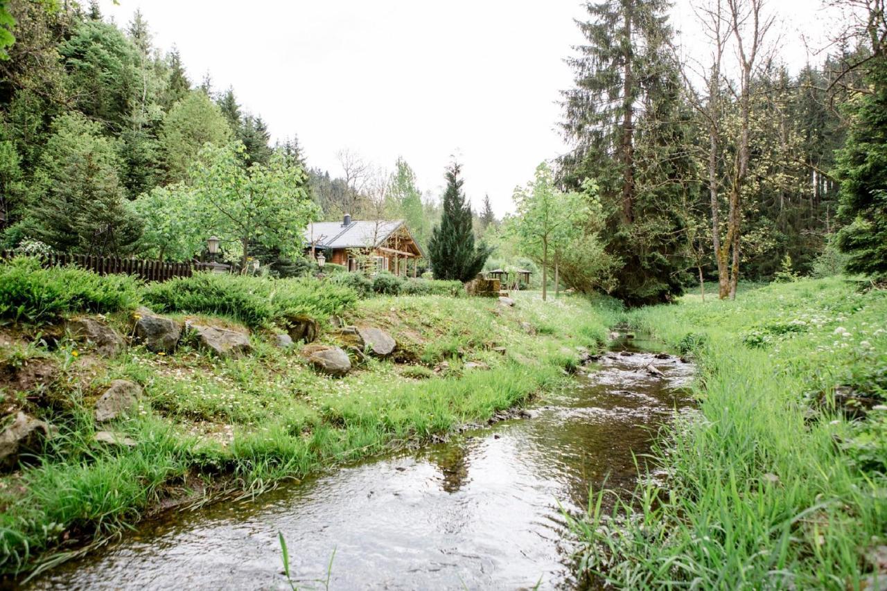 Gasthof Bischofsmuehle Helmbrechts Værelse billede